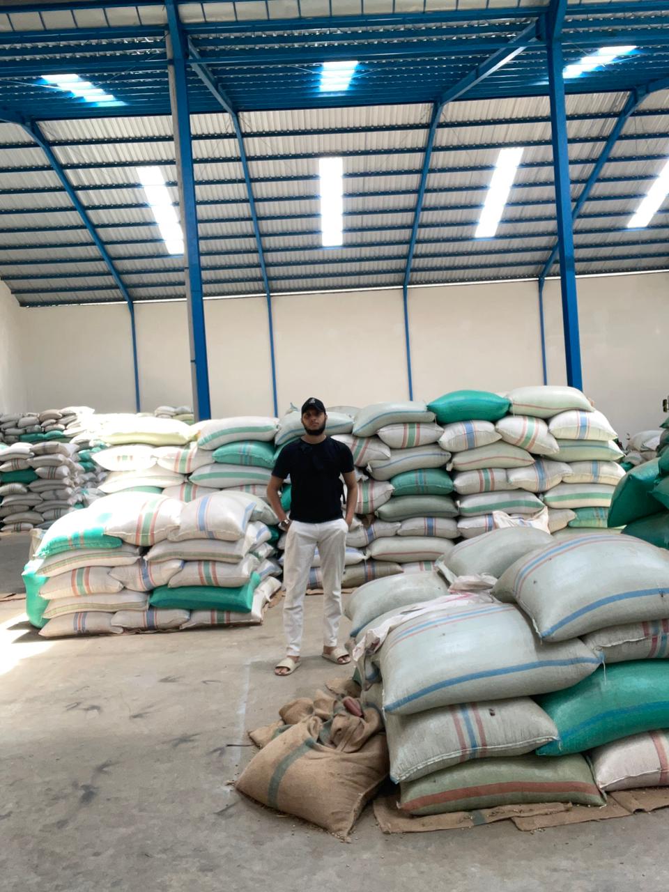 PT Indocoffee Global Export Leads Bondowoso Coffee Sustainability and Expands Global Supply