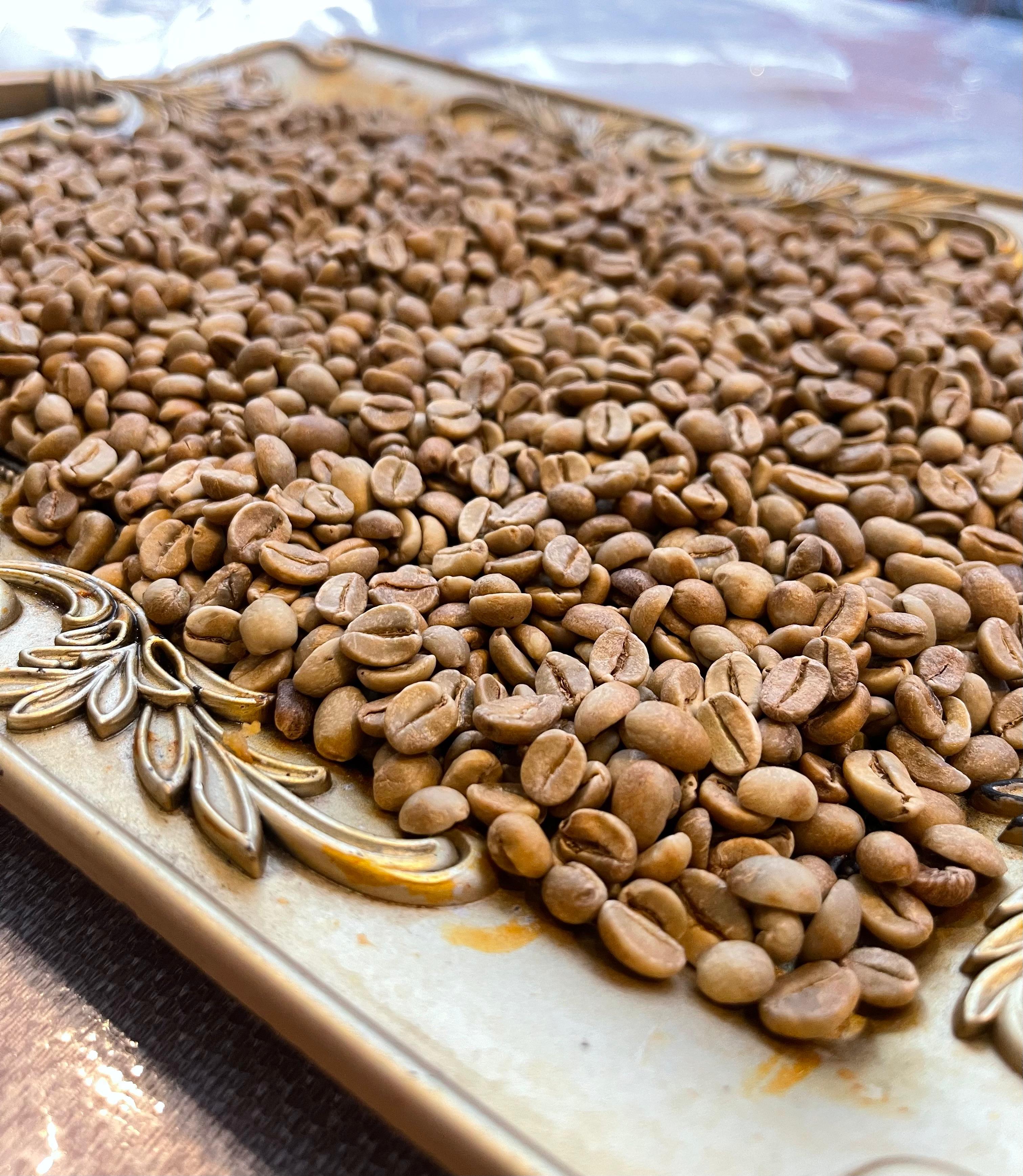 Green Bean Anaerob Wine (Grade 1-4)